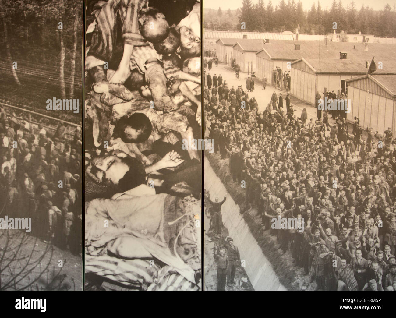 KZ Dachau, Deutschland, Tod und Befreiung Fotos im museum Stockfoto