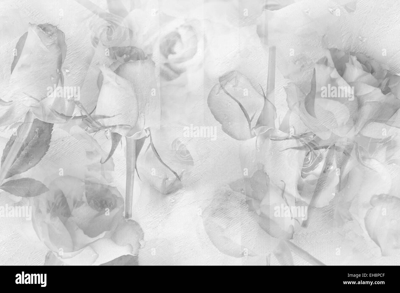 Recht abstrakt Blumen Hintergrund mit Rosen Stockfoto