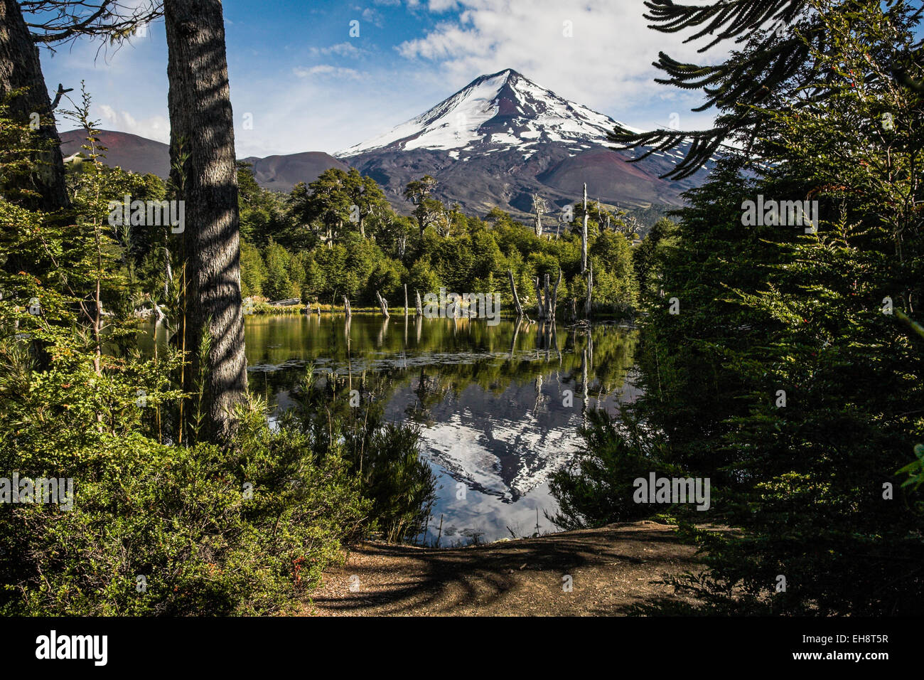 Conguillo Nationalpark, Chile Stockfoto