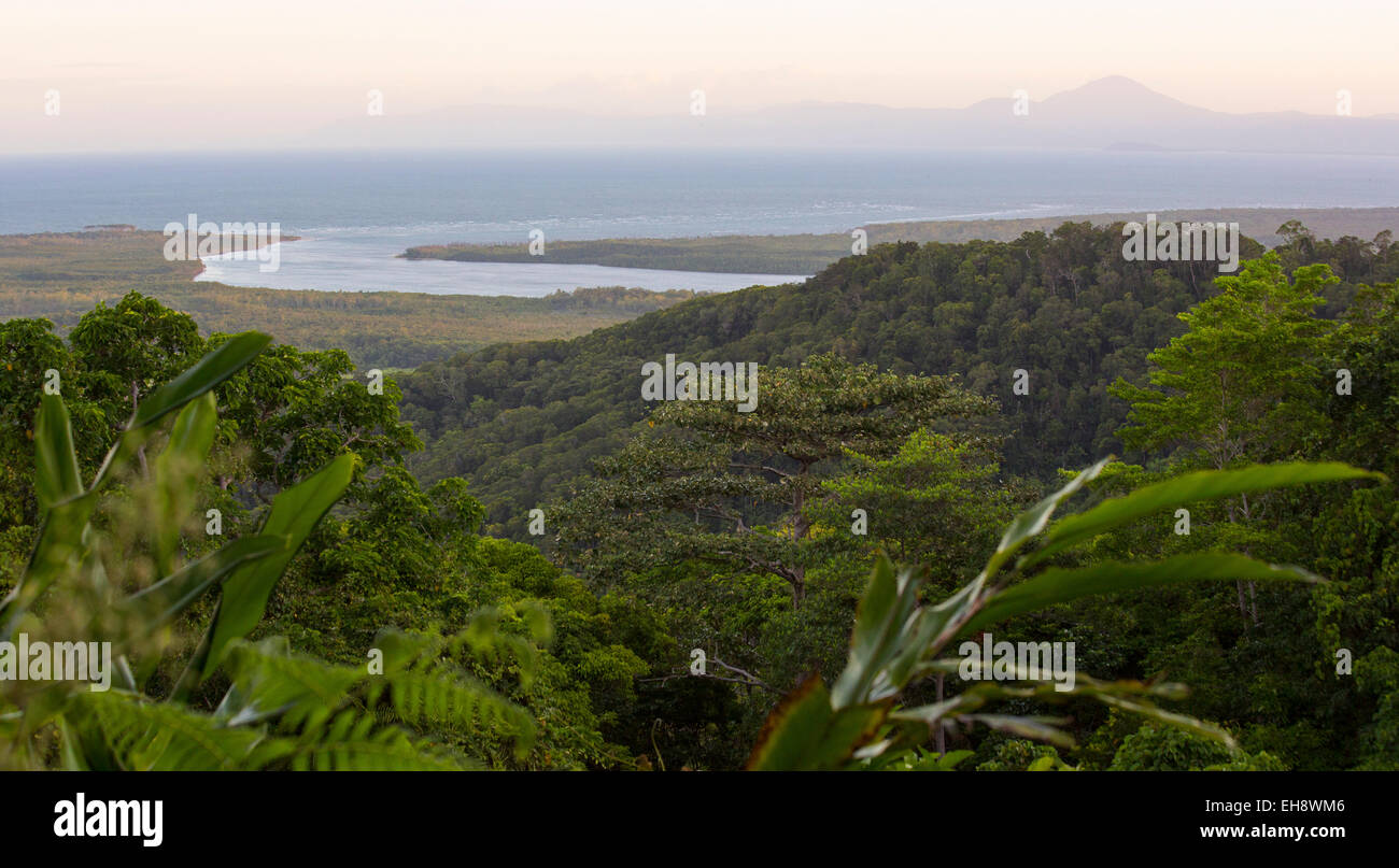Panoramablick über den Daintree River Mündung und umliegenden Wälder, Queensland, Australien Stockfoto