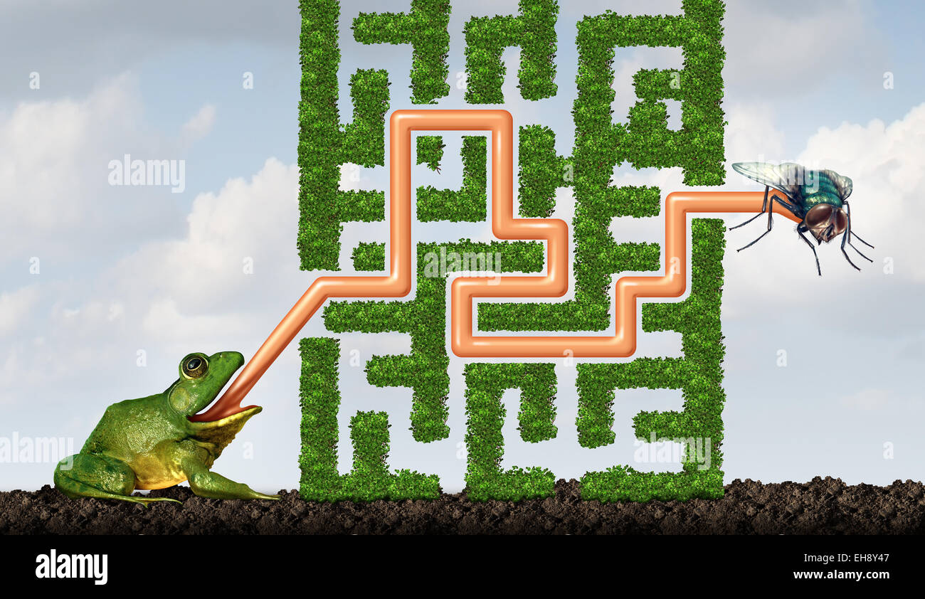 Anpassung an die Herausforderungen sein flexibles Konzept als ein grüner Frosch mit einer Zunge lösen ein Labyrinth, eine Fliege zu fangen, als Lösung Metapher für adaptive Erfolg durch lernen und Fähigkeiten von Pflanzen gemacht. Stockfoto