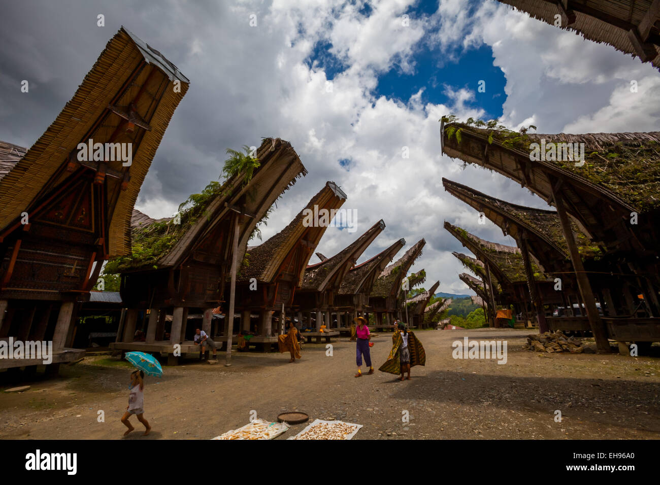 Traditionelle Häuser von Toraja (Tongkonan) im Tourismusdorf Palawa, Nord-Toraja, Süd-Sulawesi, Indonesien. Stockfoto