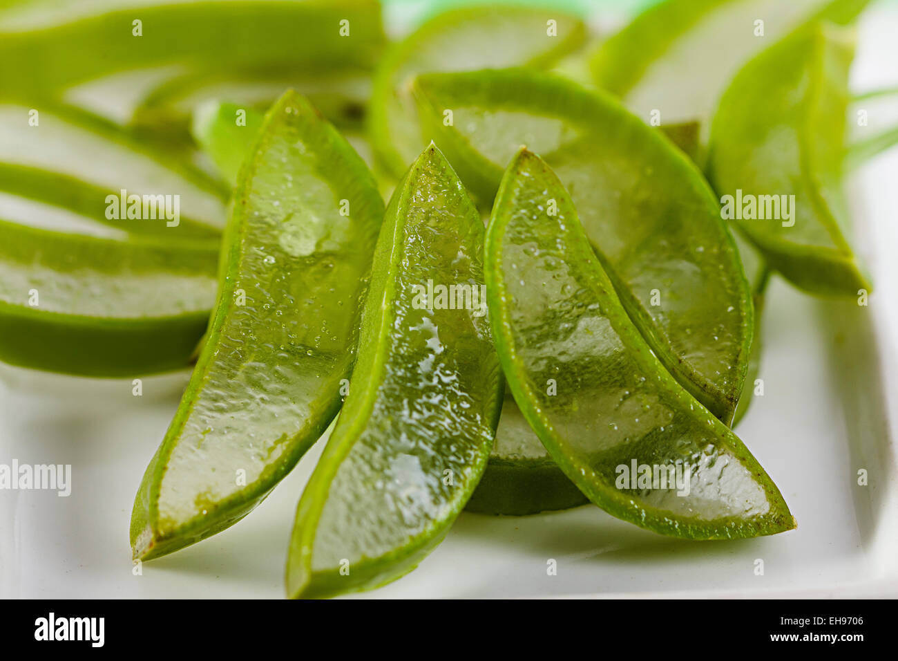 Kraut Aloe Vera Health niemand Stockfoto