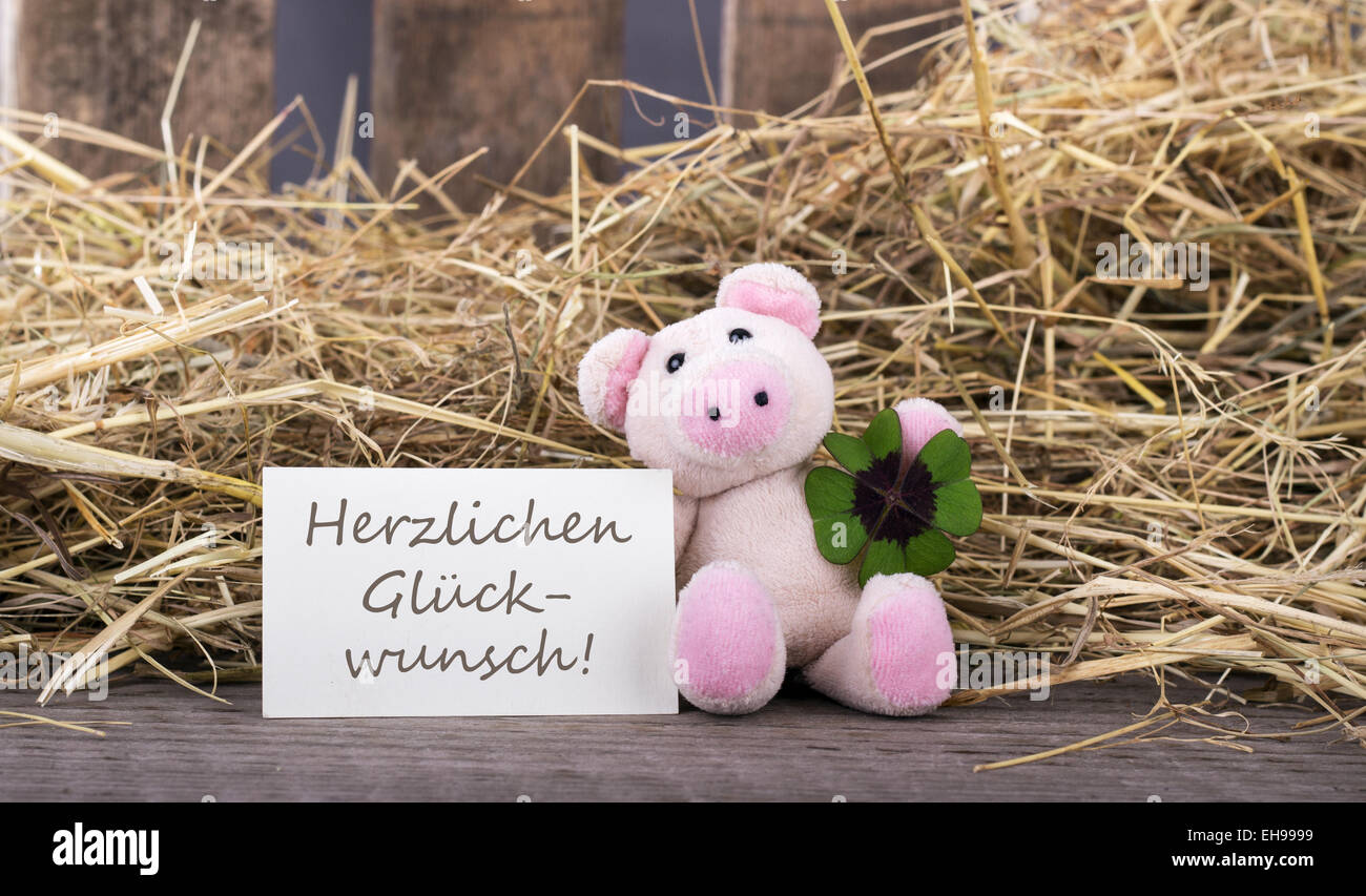 Glücksschwein mit Kleeblatt und Karte mit deutschem Text Herzlichen Glückwunsch Stockfoto