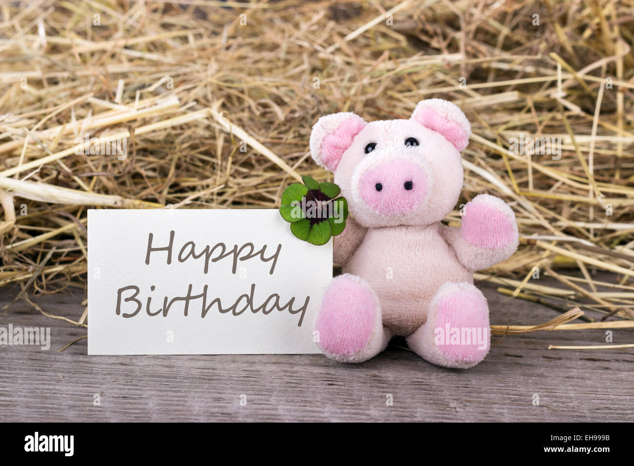 Glücksschwein mit Kleeblatt und Karte mit englischen Text Happy birthday Stockfoto