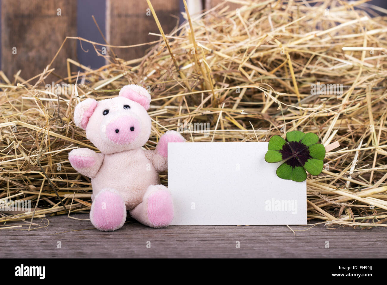 Glücksschwein mit Kleeblatt und Karte Stockfoto