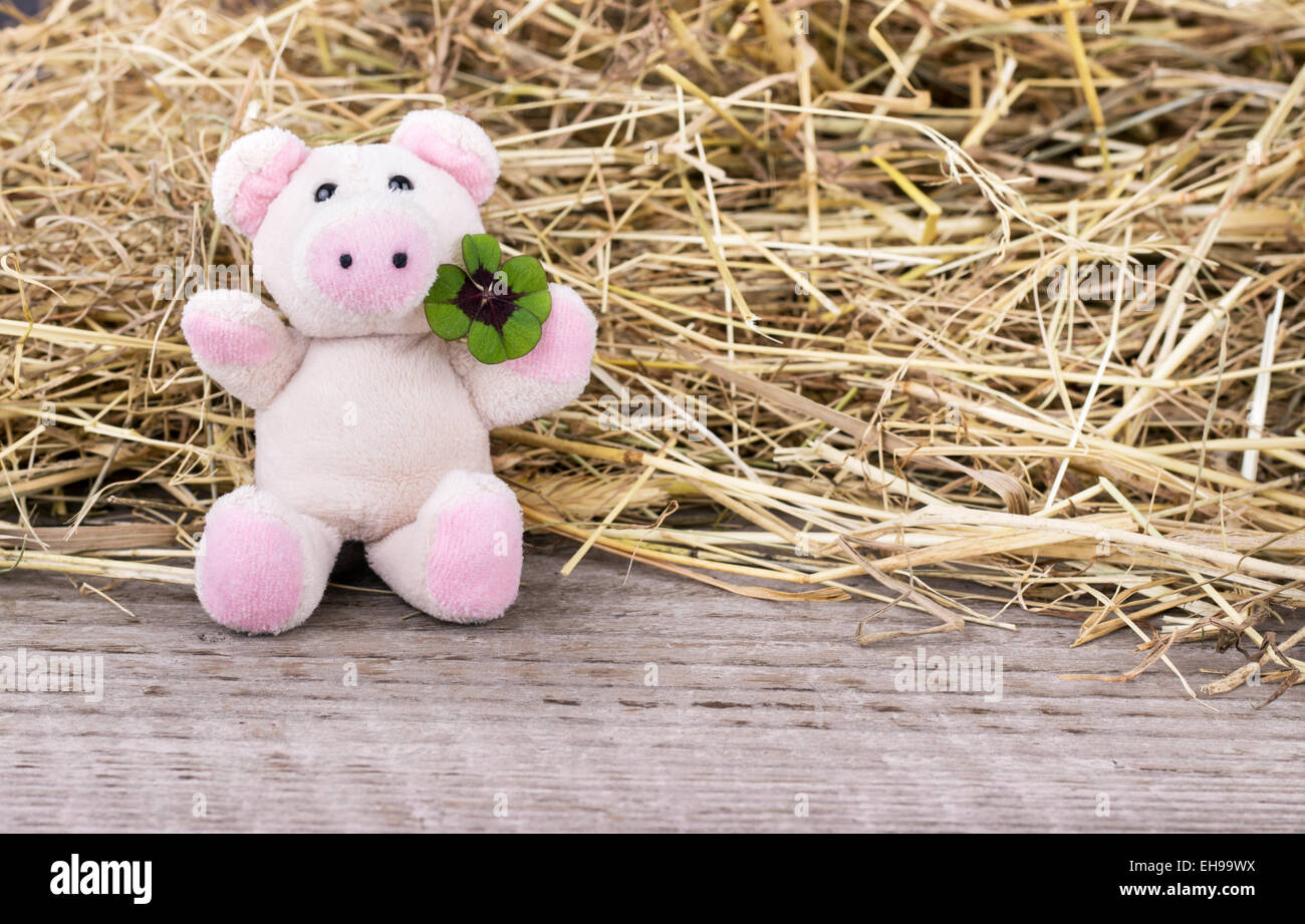Glücksschwein mit Kleeblatt Stockfoto