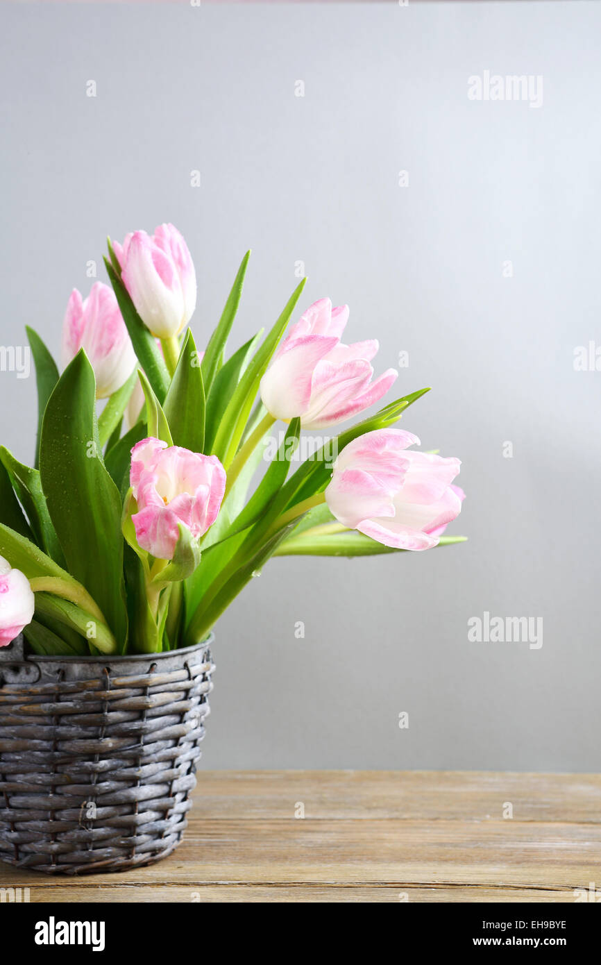 Bouquet von frischen Frühlingsblumen, Feder-symbol Stockfoto
