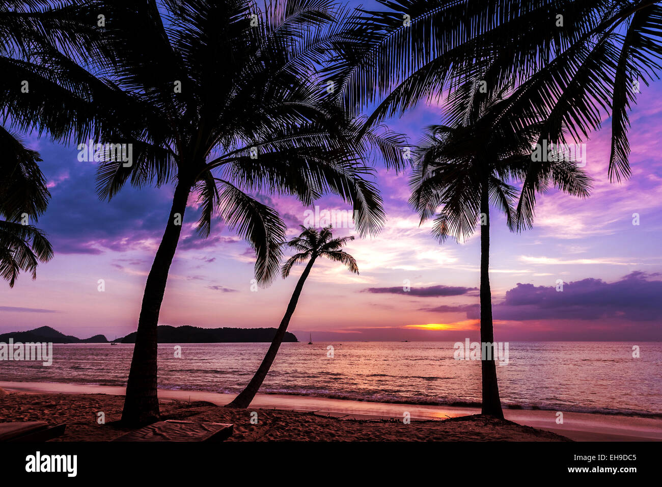 Urlaub Hintergrund gemacht von Palm Bäume Silhouetten bei Sonnenuntergang. Stockfoto