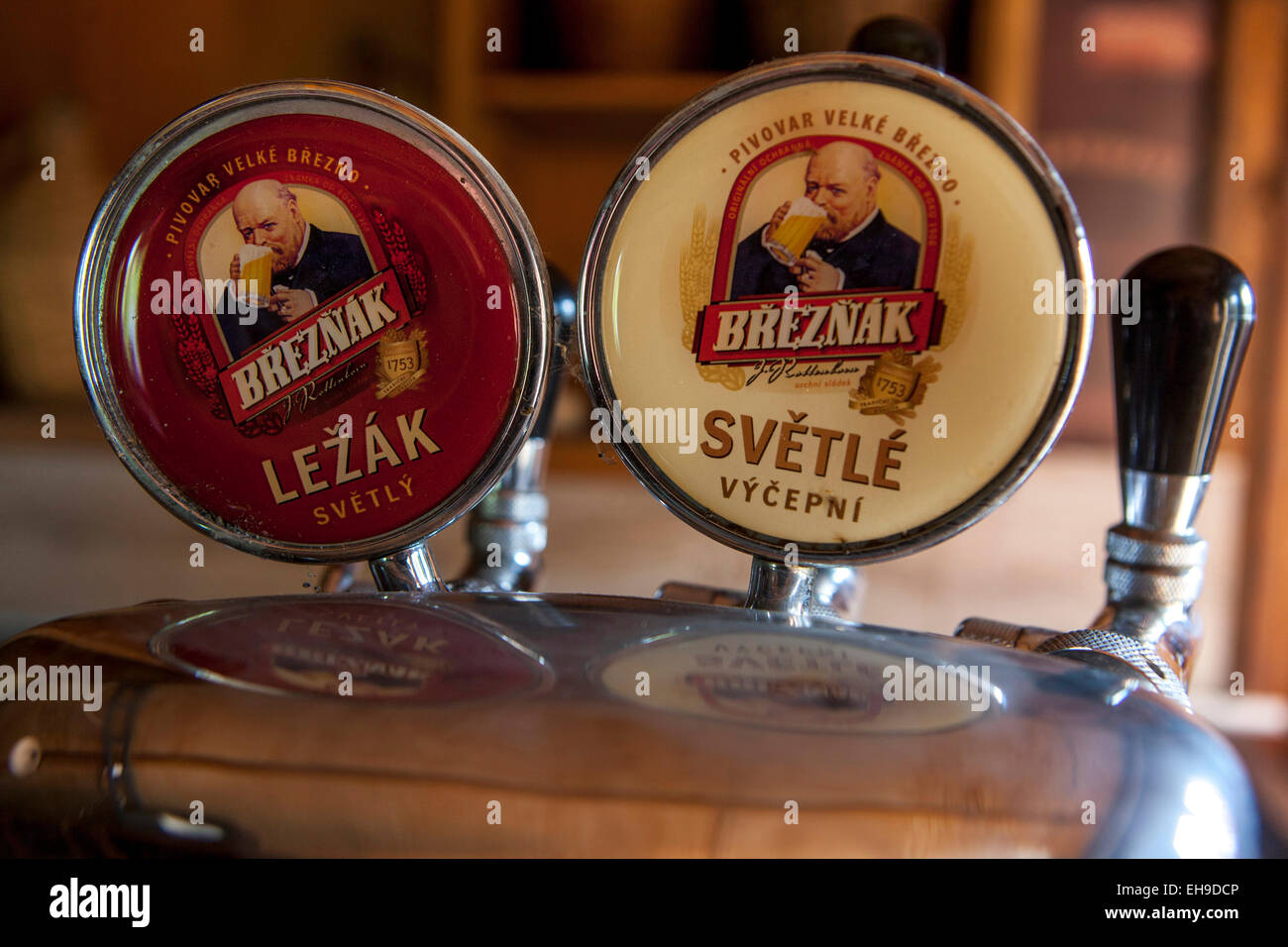 Sie tippen Wasserhahn Breznak tschechisches Bier Stockfoto
