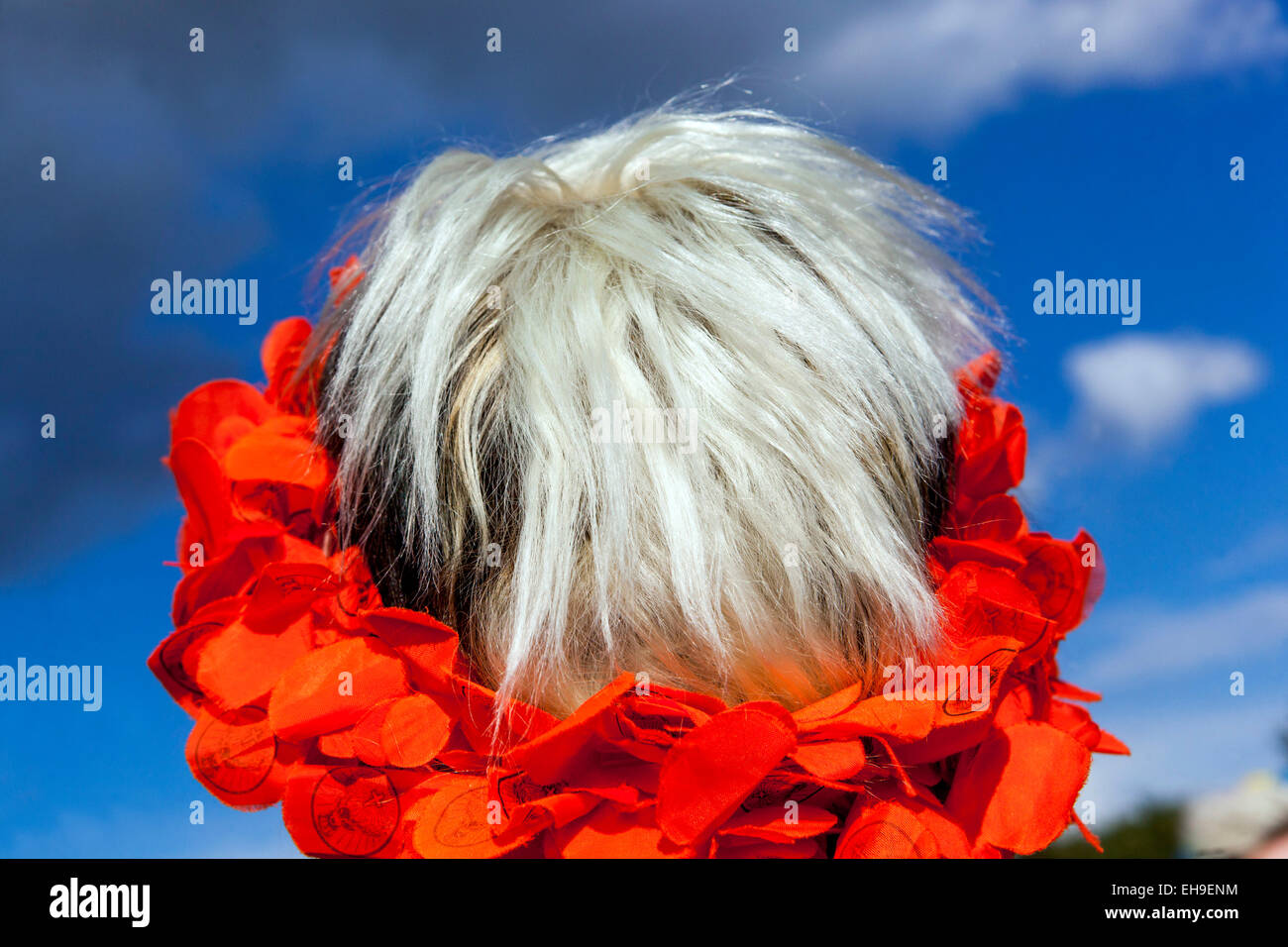 Ergrautes Haar ältere Frauen Stockfoto