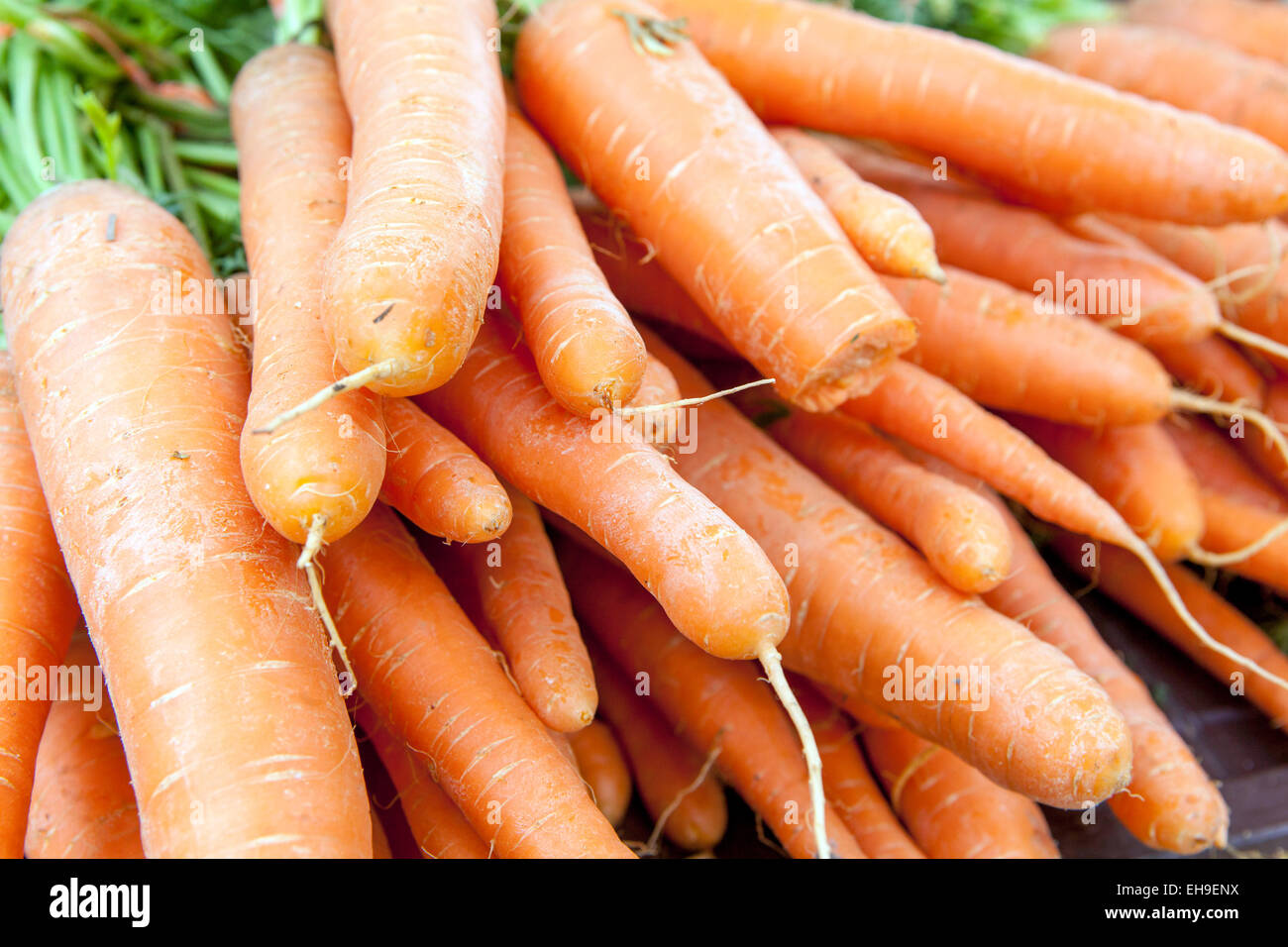 Karotten, Karotten Stockfoto