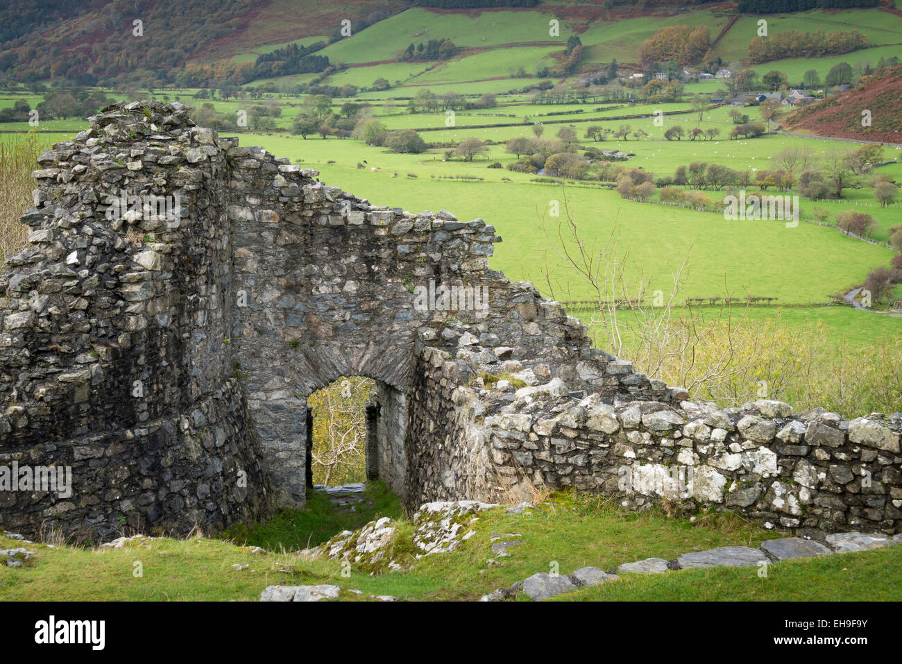 Castell y Bere Dysynni Tal Gwynedd Wales Stockfoto