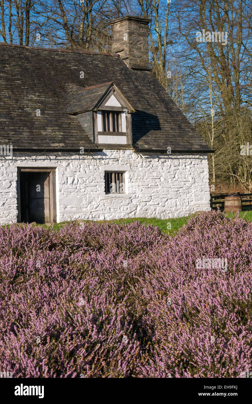 Cilewent Bauernhaus St Fagans Cardiff South Wales, Australia Stockfoto