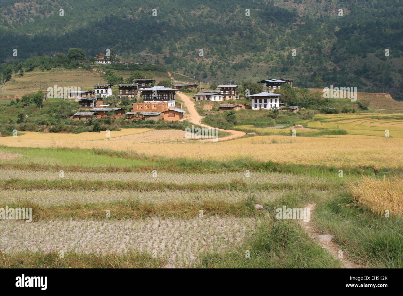 Ein buddhistisches Kloster entstand an der Spitze eines Hügels in Lobesa, Bhutan, am 13. Oktober 2011. Stockfoto