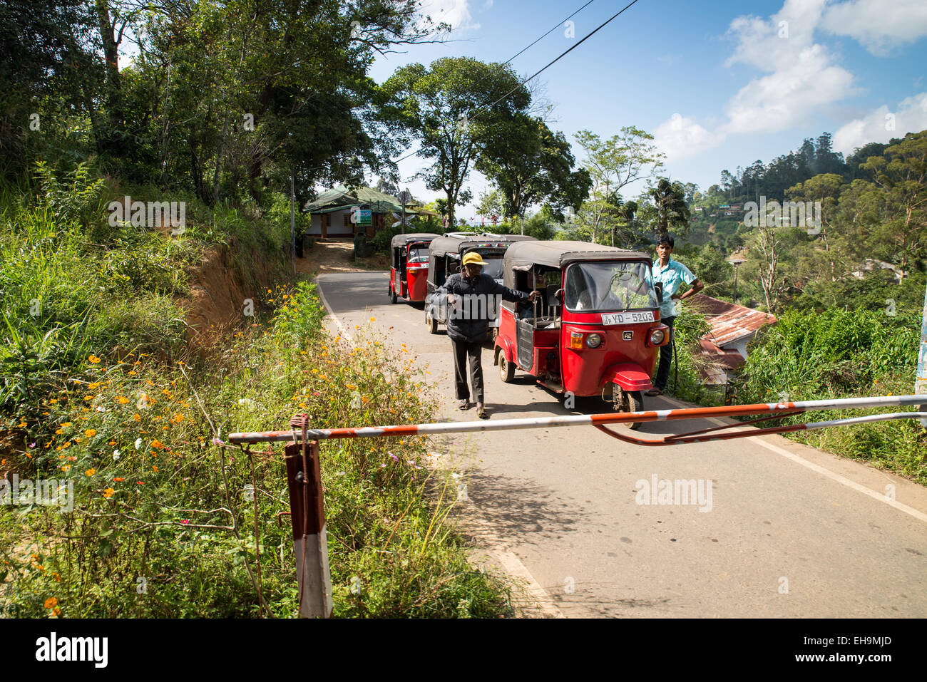 Blick vom Zug von Nuwara Eliya nach Ella im Hochland von Sri Lanka, Asien Stockfoto