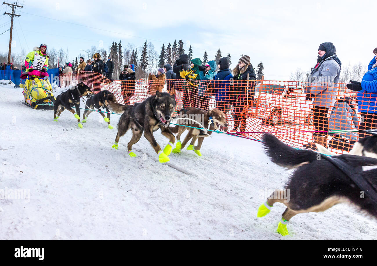 Fairbanks, Alaska. 9. März 2015. Kasilof Alaska Musher Monica Zappa zum