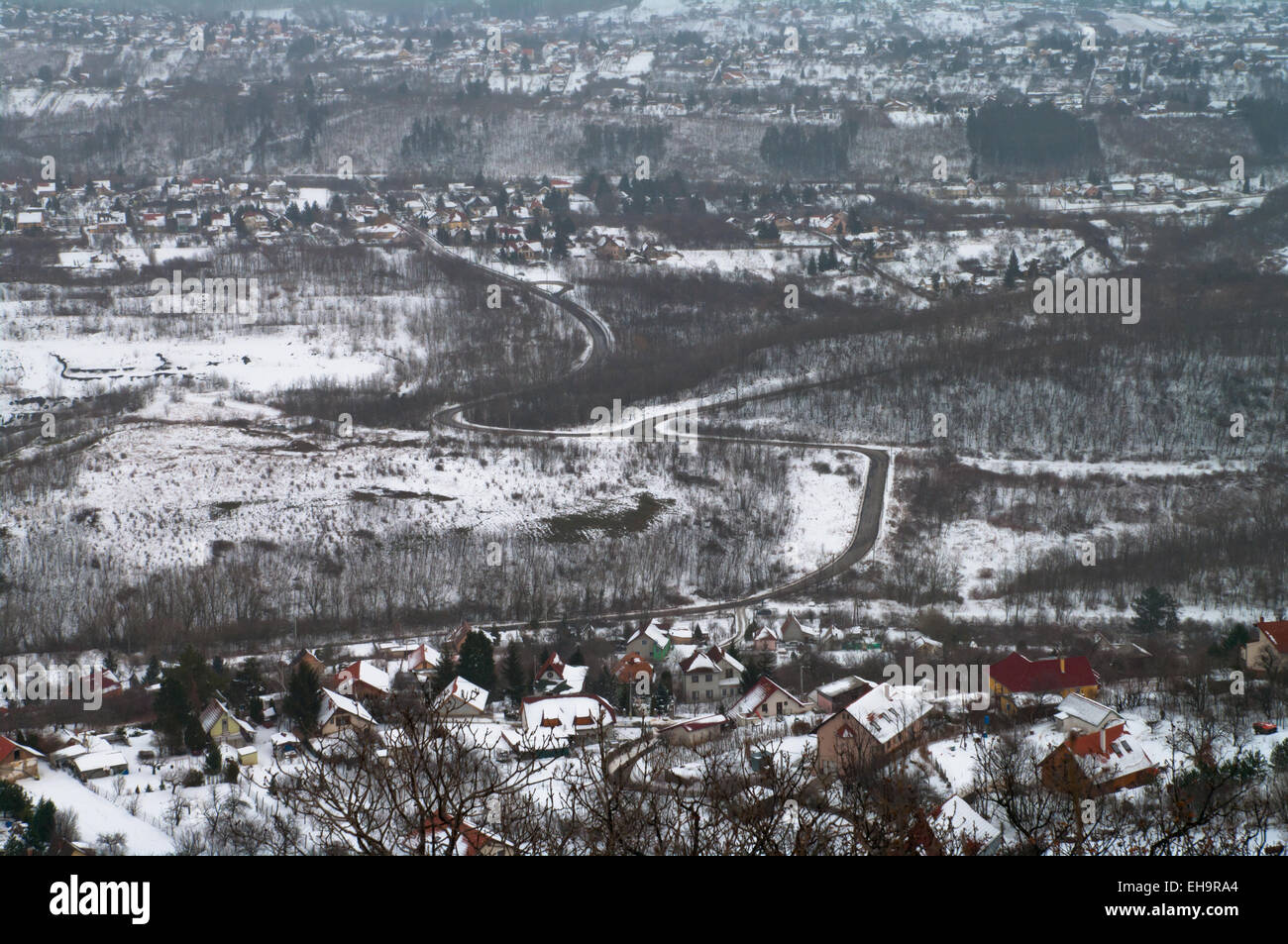 Großstadt Cityscape Gebäude Haus Häuser Haus Baum Bäume Holz Wald Hintergrundfarbe blau schön Schönheit chill Weihnachten kalte Farbe Stockfoto