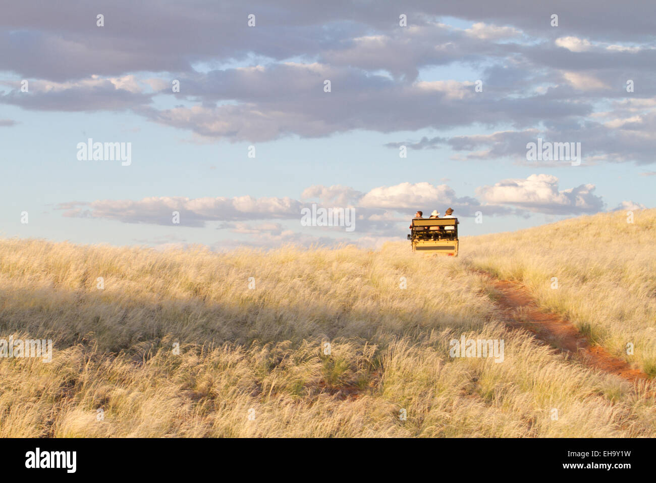 Einige Touristen während einer Safari in Namibia Stockfoto