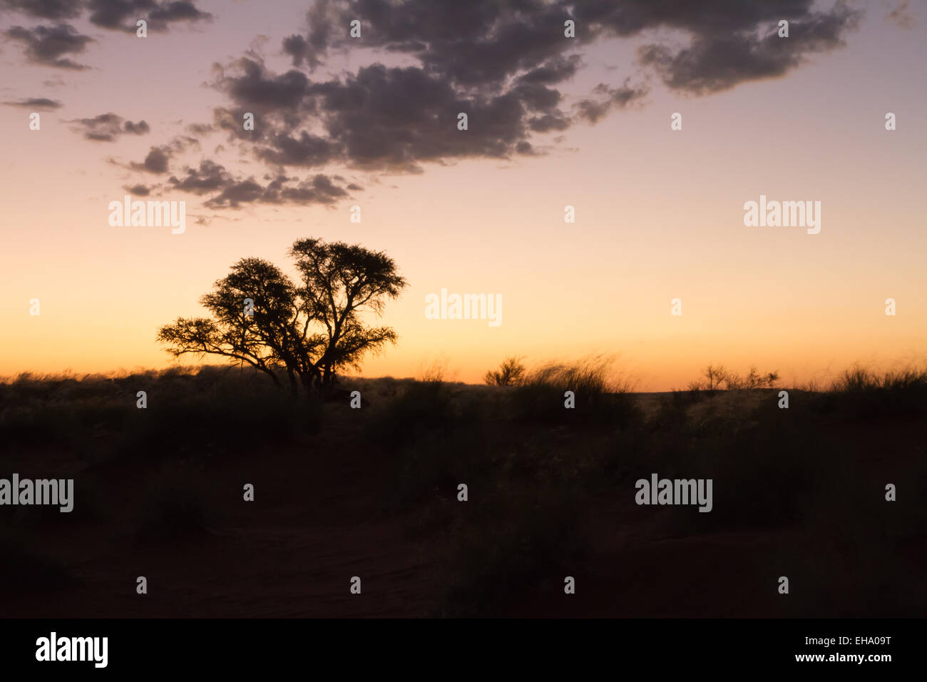 Einen warmen Sonnenuntergang inmitten der namibischen Stockfoto