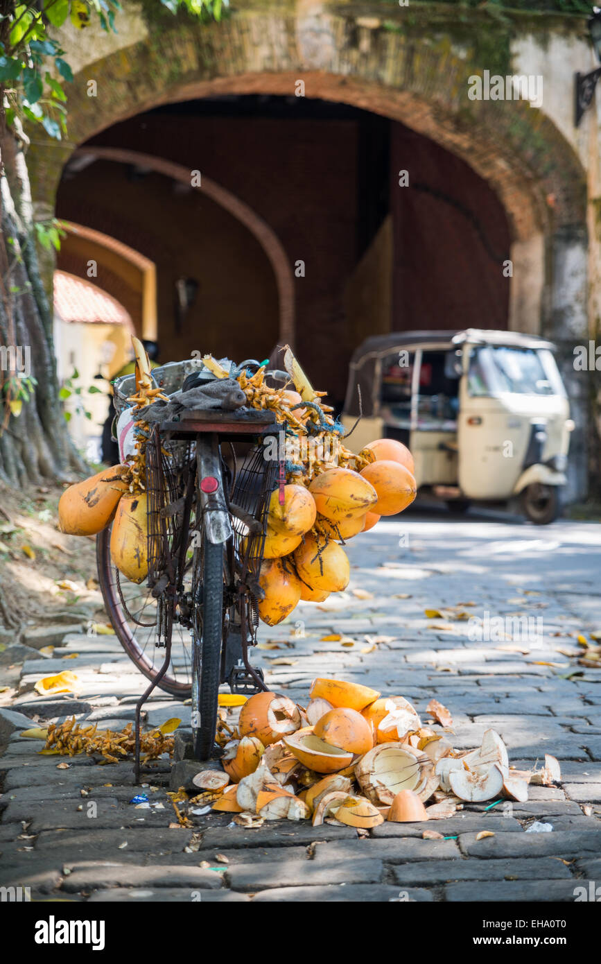 Kokos-Anbieter in Fort Galle, Sri Lanka, Asien Stockfoto