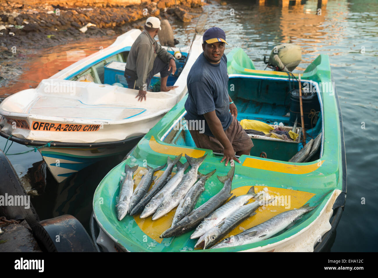 Fischmarkt in Negombo, Sri Lanka Stockfoto