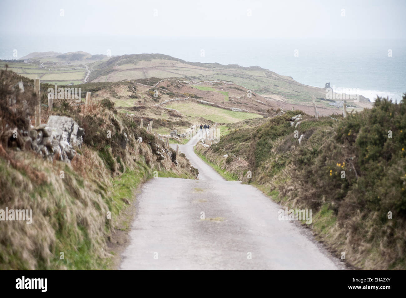 Cape Clear Island, Irland Stockfoto