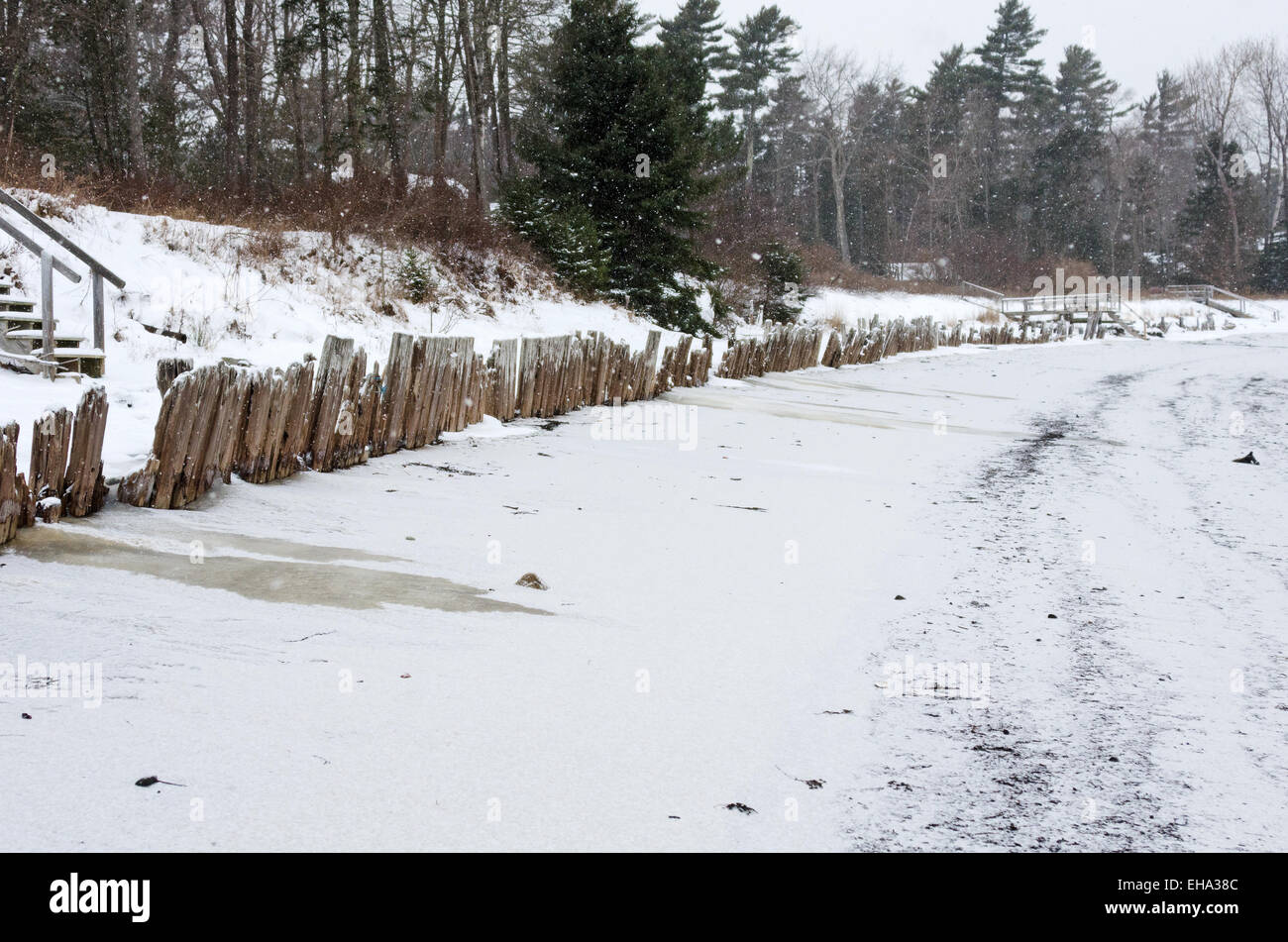 Die Reste des hölzernen Pfeilern gebildet, die einst ein Deich, die Küstenlinie von einer kleinen Bucht in Bar Harbor, Maine zu schützen. Stockfoto