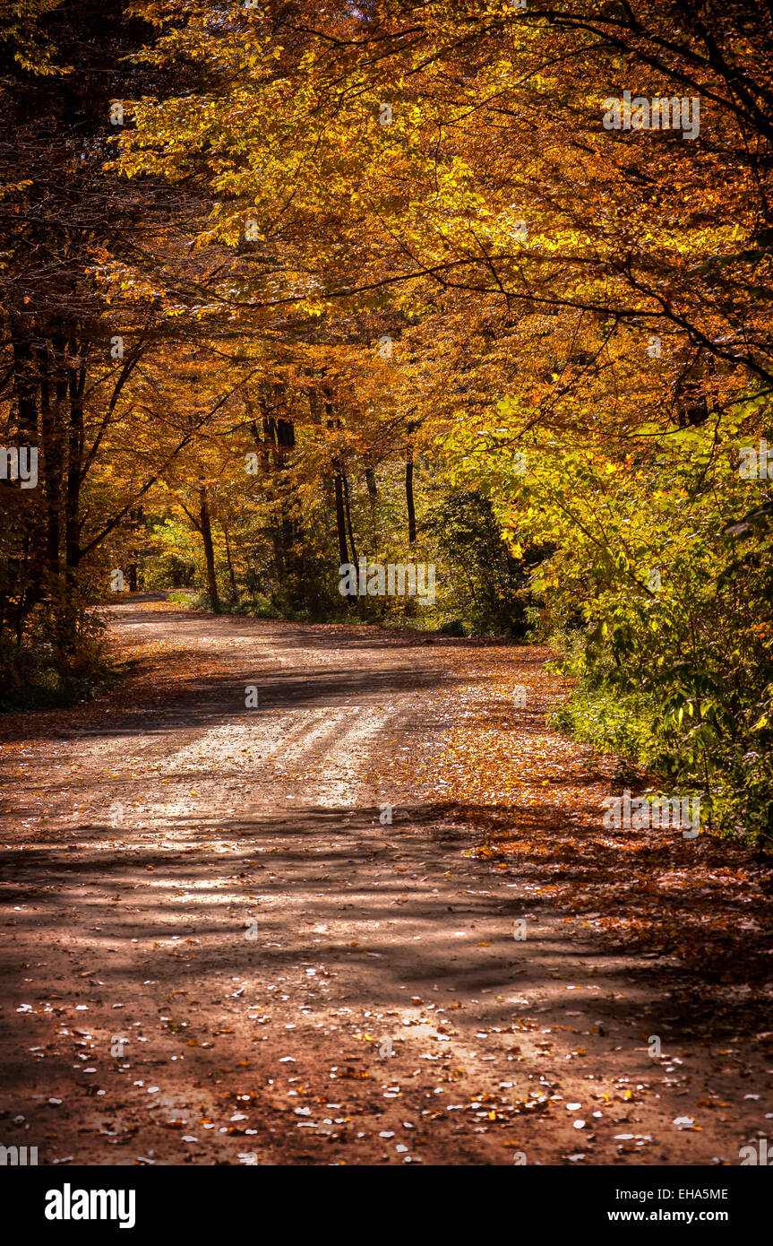 Herbst-Straße Stockfoto