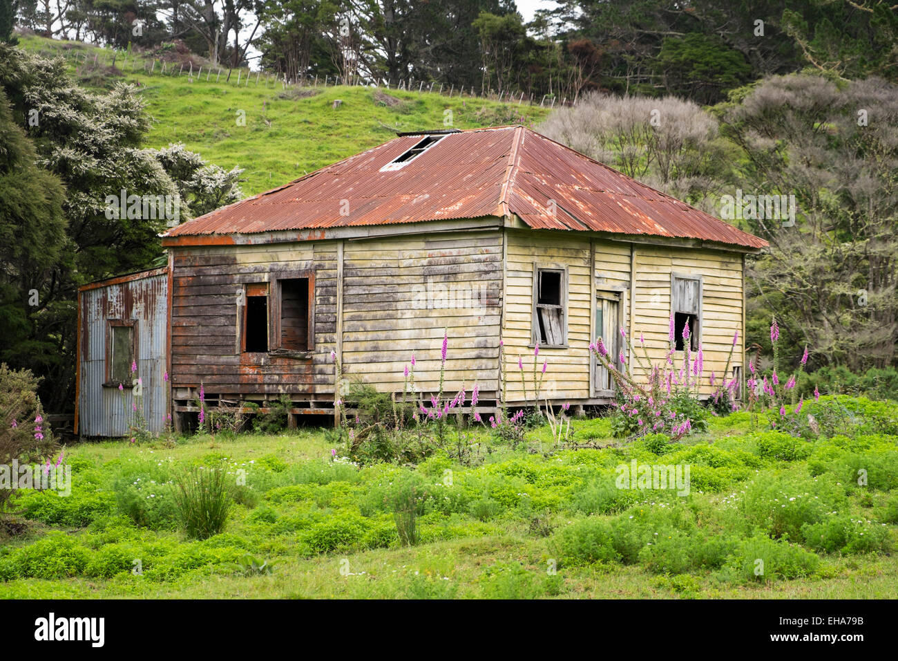 Alten vernachlässigten verlassenen Bauernhof in Coromandel, Neuseeland. Stockfoto