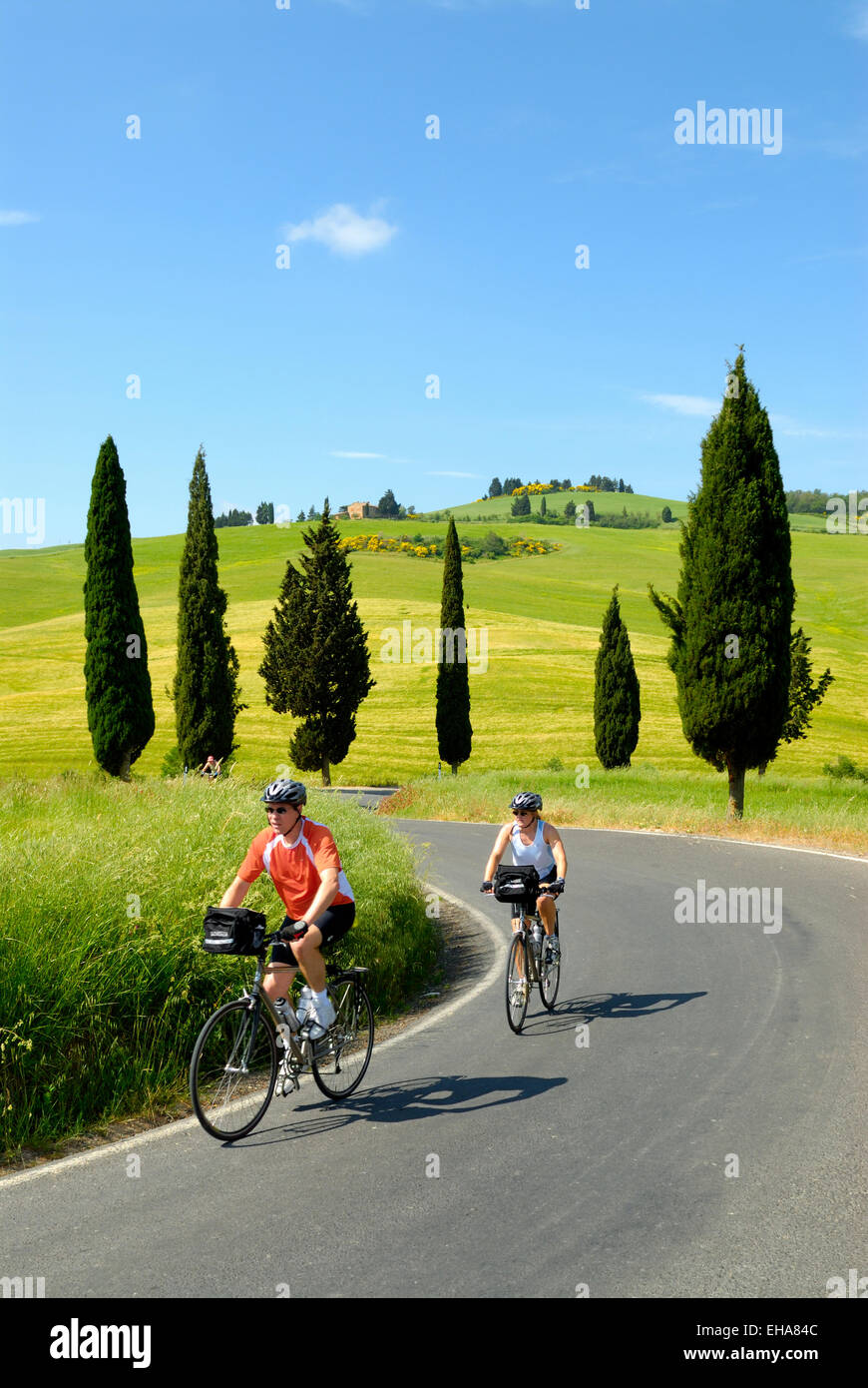 Radfahrer auf einer Landstraße im Frühjahr, Val d ' Orcia, Toskana, Italien Stockfoto