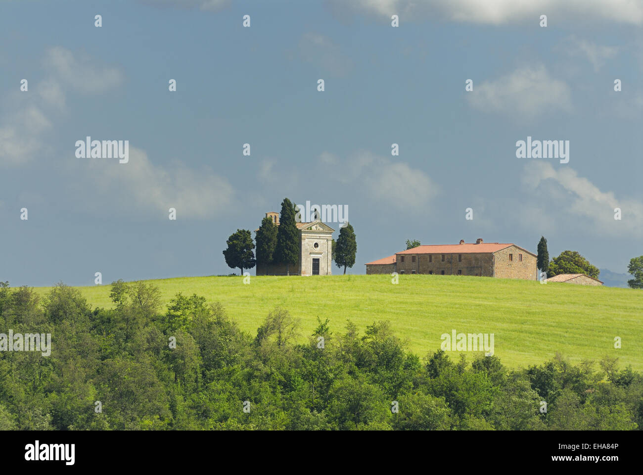 Kapelle des Vitaleta (Capella di Vitaleta), San Quirico d ' Orcia, Val d ' Orcia, in der Nähe von Pienza, Toskana, Italien Stockfoto