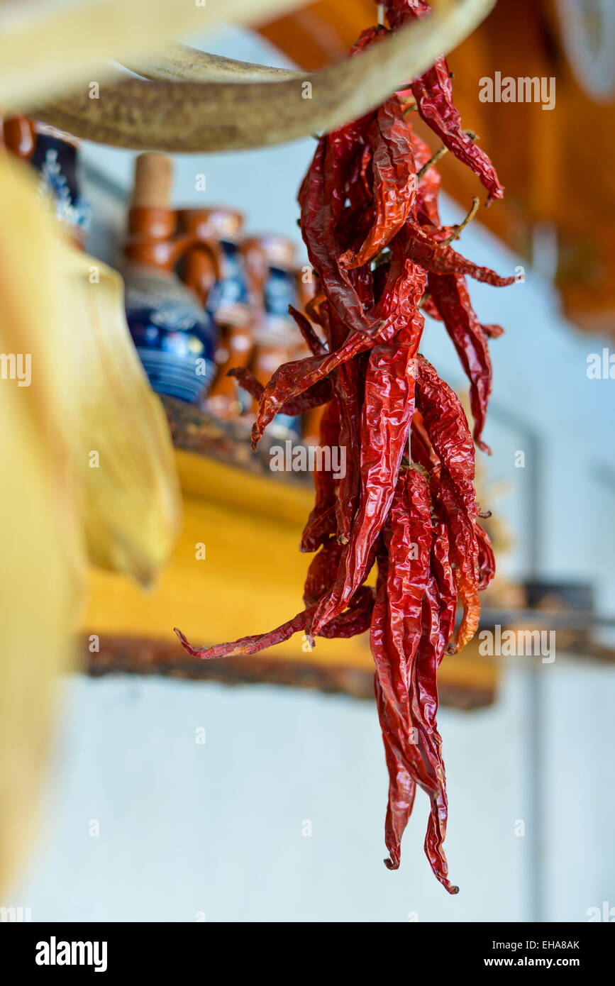 Hot Peppers hängen zum Trocknen in natürlichem Licht Stockfoto
