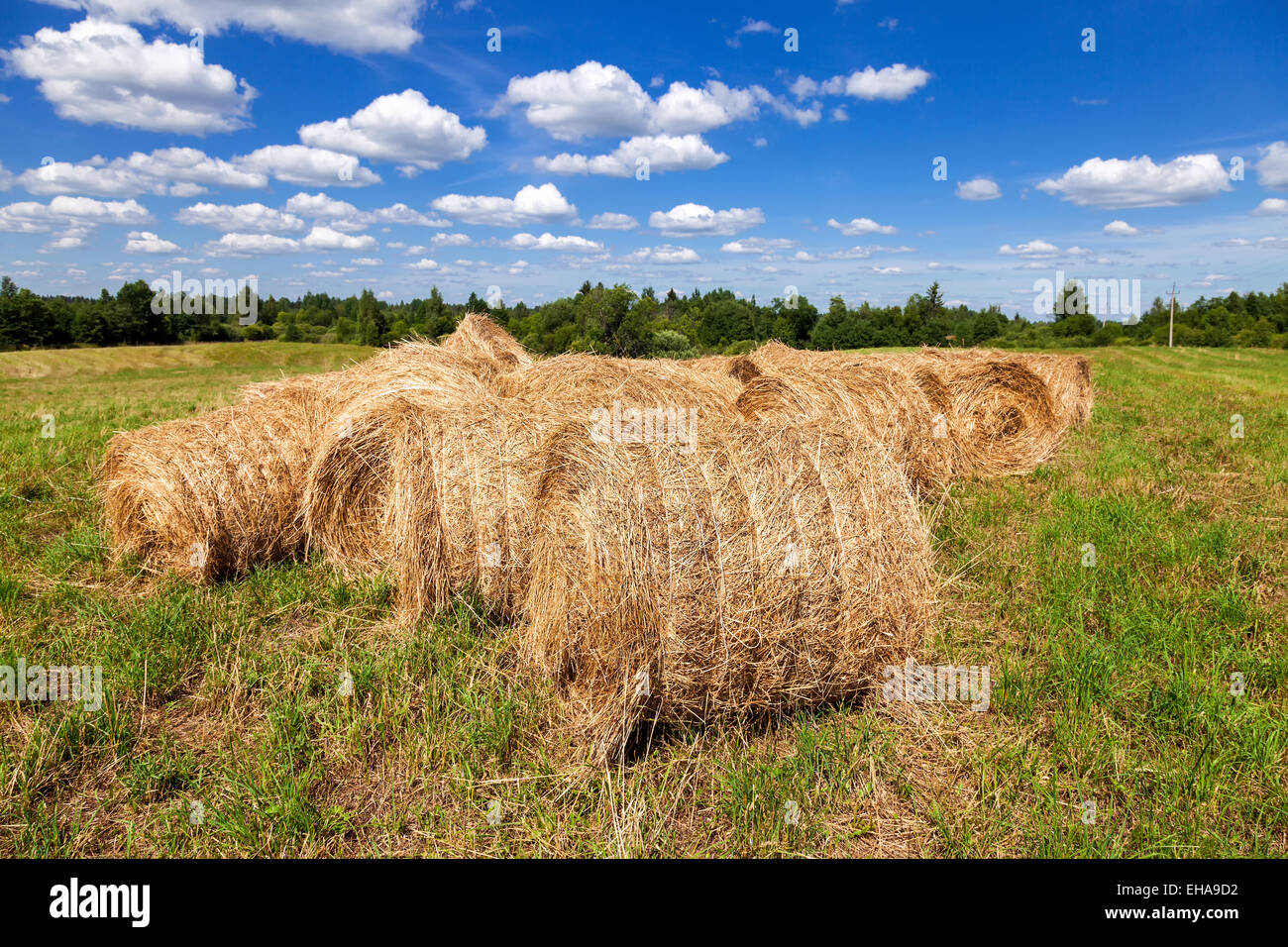 Heu und Stroh Ballen auf Ackerland unter blauem Himmel im Sommertag Stockfoto