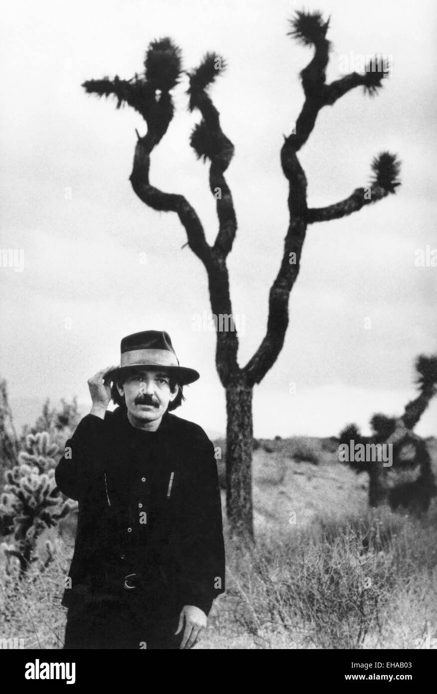 Don Van Vliet oder Captain Beefheart, Porträt in der Wüste, etwa Anfang der 80er Jahre Stockfoto