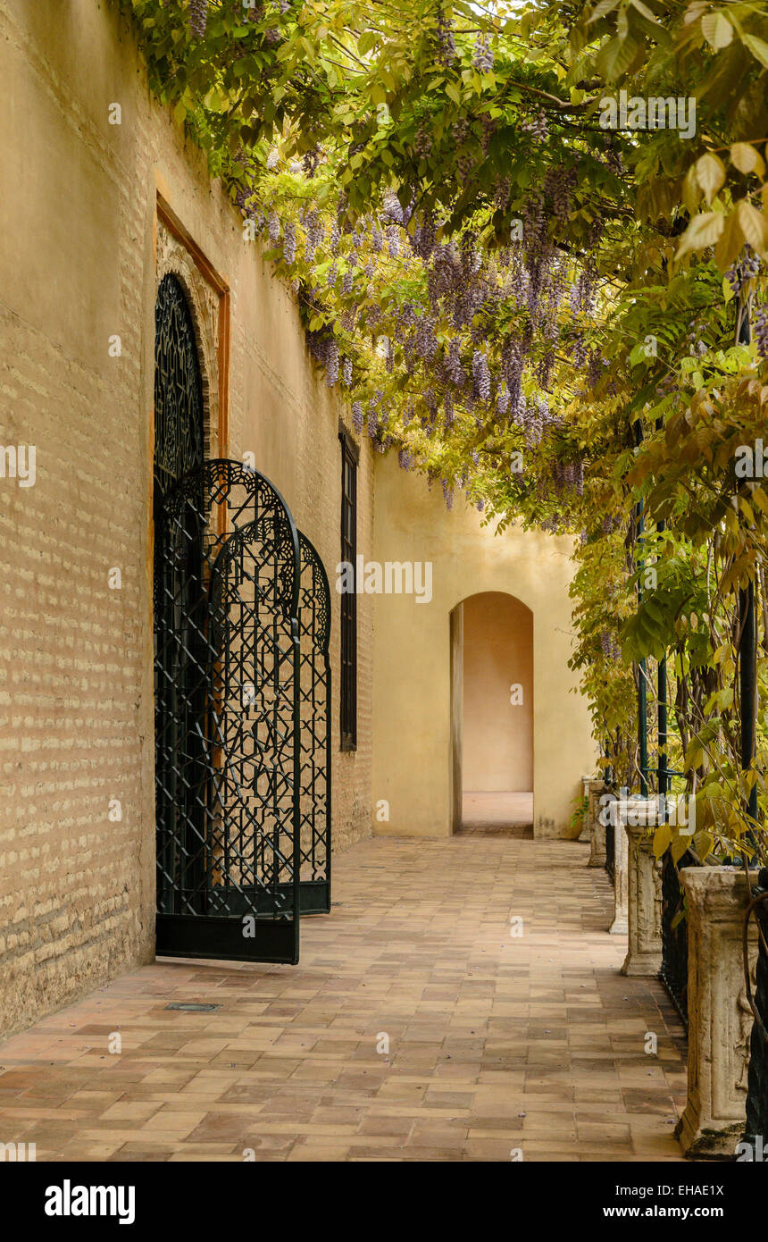 Die wunderschönen Gärten des Alcázar von Sevilla, der königliche Palast in Sevilla, Spanien. Stockfoto