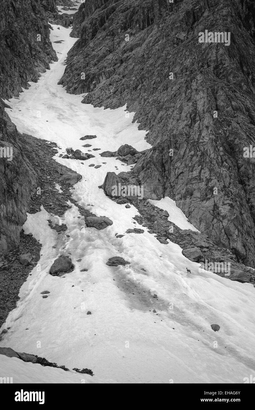 Schnee-gefüllte, felsigen Schlucht im Nationalpark Ecrins, Französische Alpen (schwarz / weiß Bild). Stockfoto