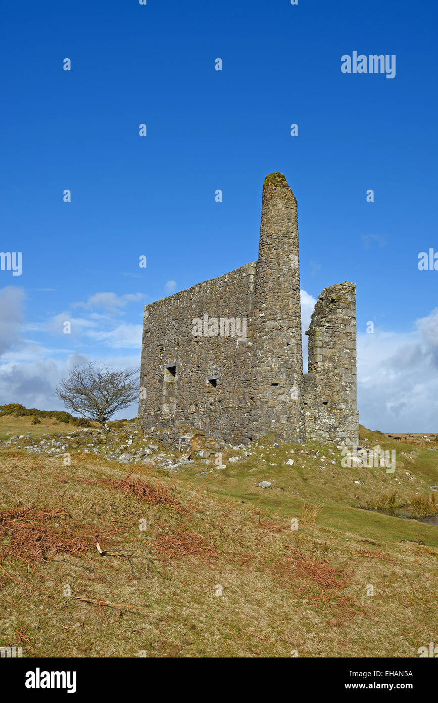 Neue Phoenix Mine Maschinenhaus (aka Tal Silberbergwerk) in der Nähe von Schergen, Cornwall Stockfoto