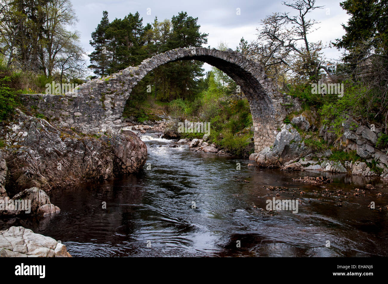 Das 18. Jahrhundert Stein Lastesel Brücke über den Fluss Dulnain in Carrbridge, Inverness-Shire. Mai. Stockfoto