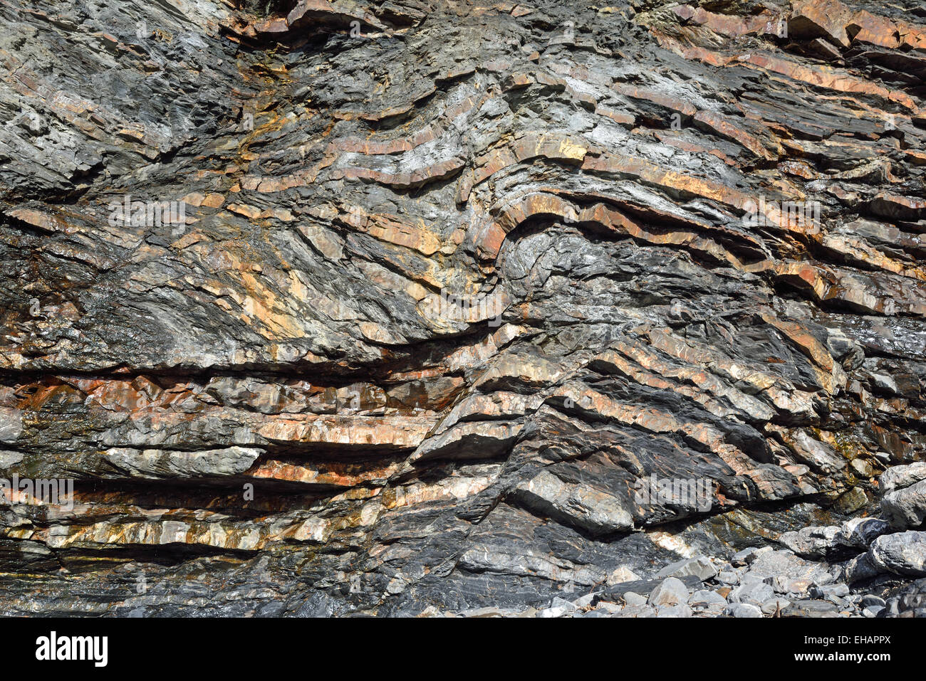 Falten in den Klippen am Pencannow Point, Crackington Haven, in der Nähe von Bude, Cornwall, UK Stockfoto