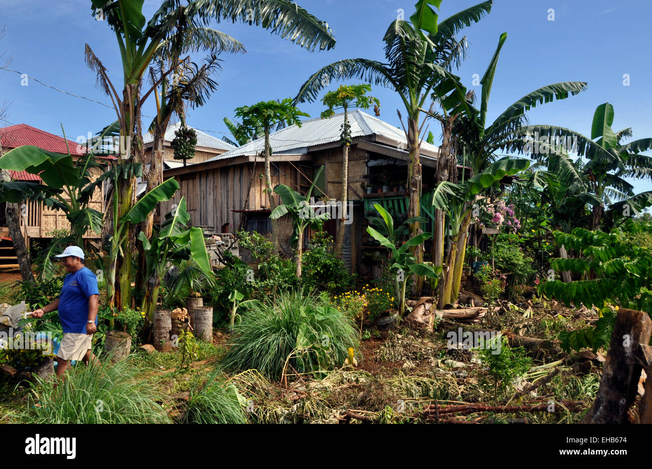 Menschen Sie Reparatur und ändern Sie Unterstände der Häuser verwüstet durch den Taifun Haiyan in Surok Stadt, Philippinen, 11. Februar 2015 zu. Taifun Haiyan war der größte Taifun in den letzten Jahren, die die zentralen Philippinen im Jahr 2013 verwüstet, so dass die mehr als 7.000 Menschen tot oder vermisst. Mehr als 1 Million Häuser wurden in der Folge ganz oder teilweise beschädigt. (CTK Foto/Tereza Supova) Stockfoto