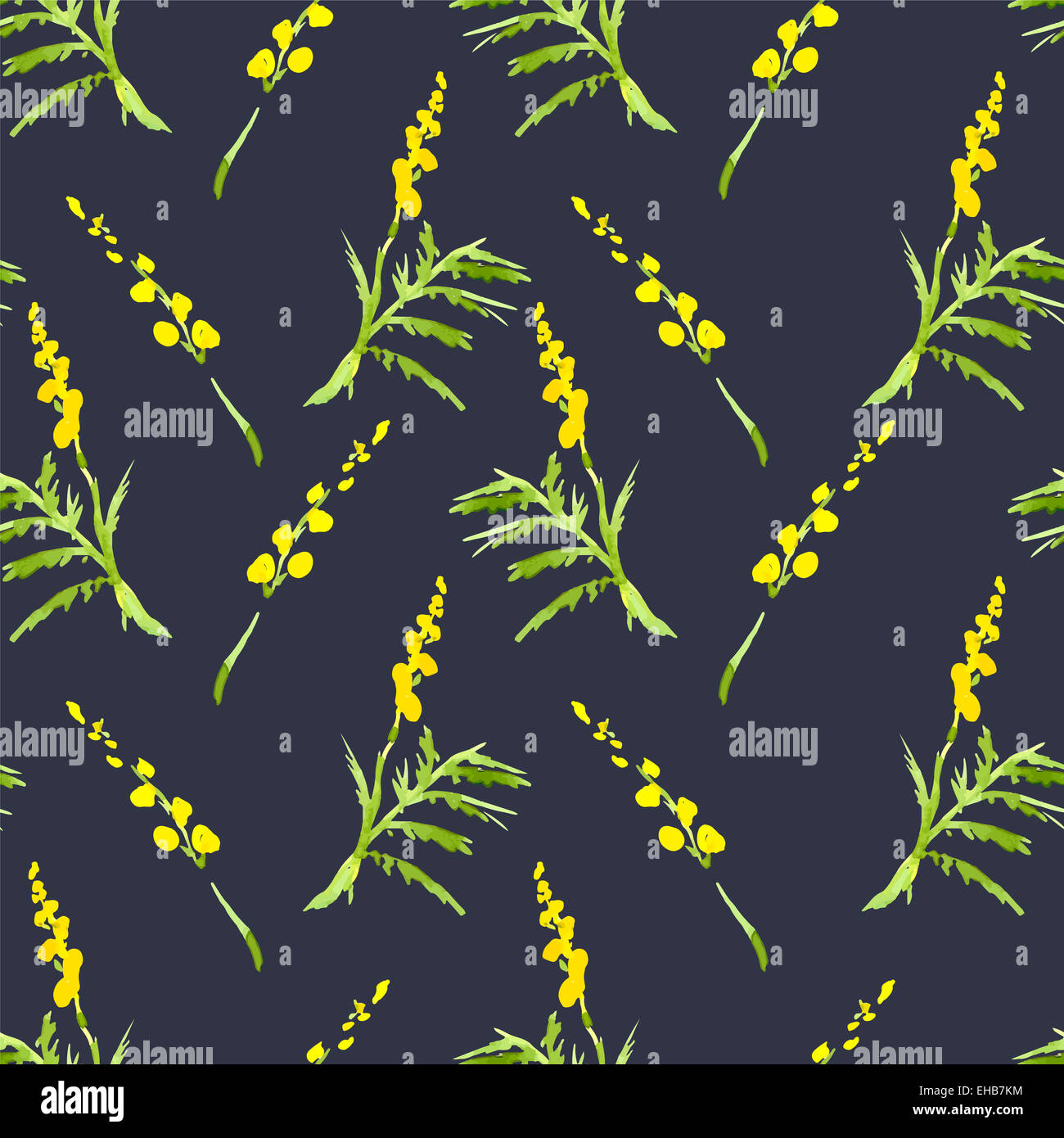 Zweig der Mimosa, Feder Aquarell Hintergrund, Floral Grußkarte Stockfoto