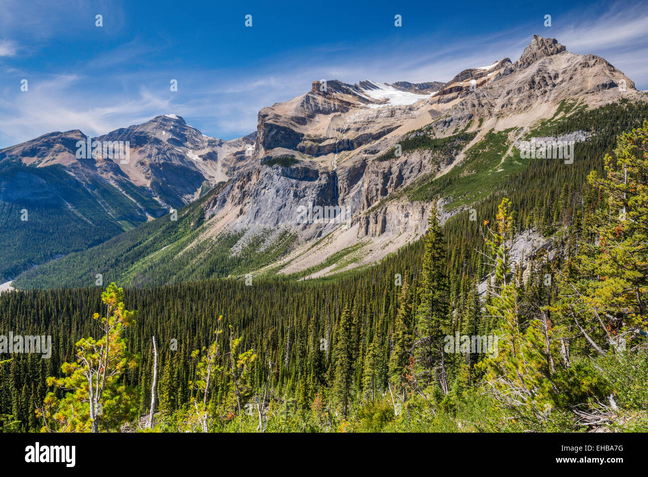 Smaragd-Gletscher, Michael Berg, Präsident Palette, von Burgess Highline Trail, kanadischen Rocky Mountains, Yoho Nat Park, Britisch-Kolumbien Stockfoto