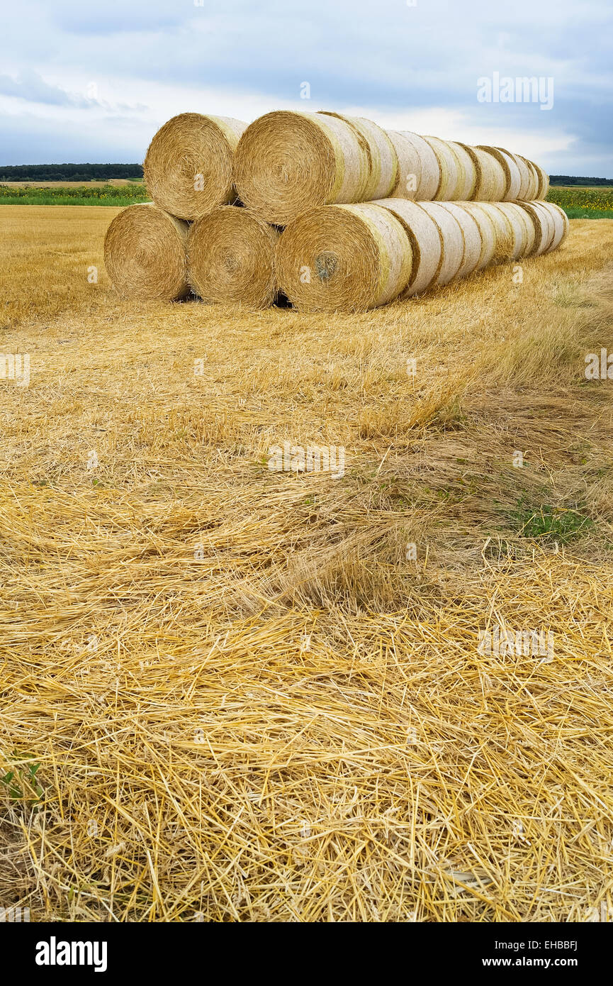 Bett aus Strohballen aus dem Bereich Stockfoto