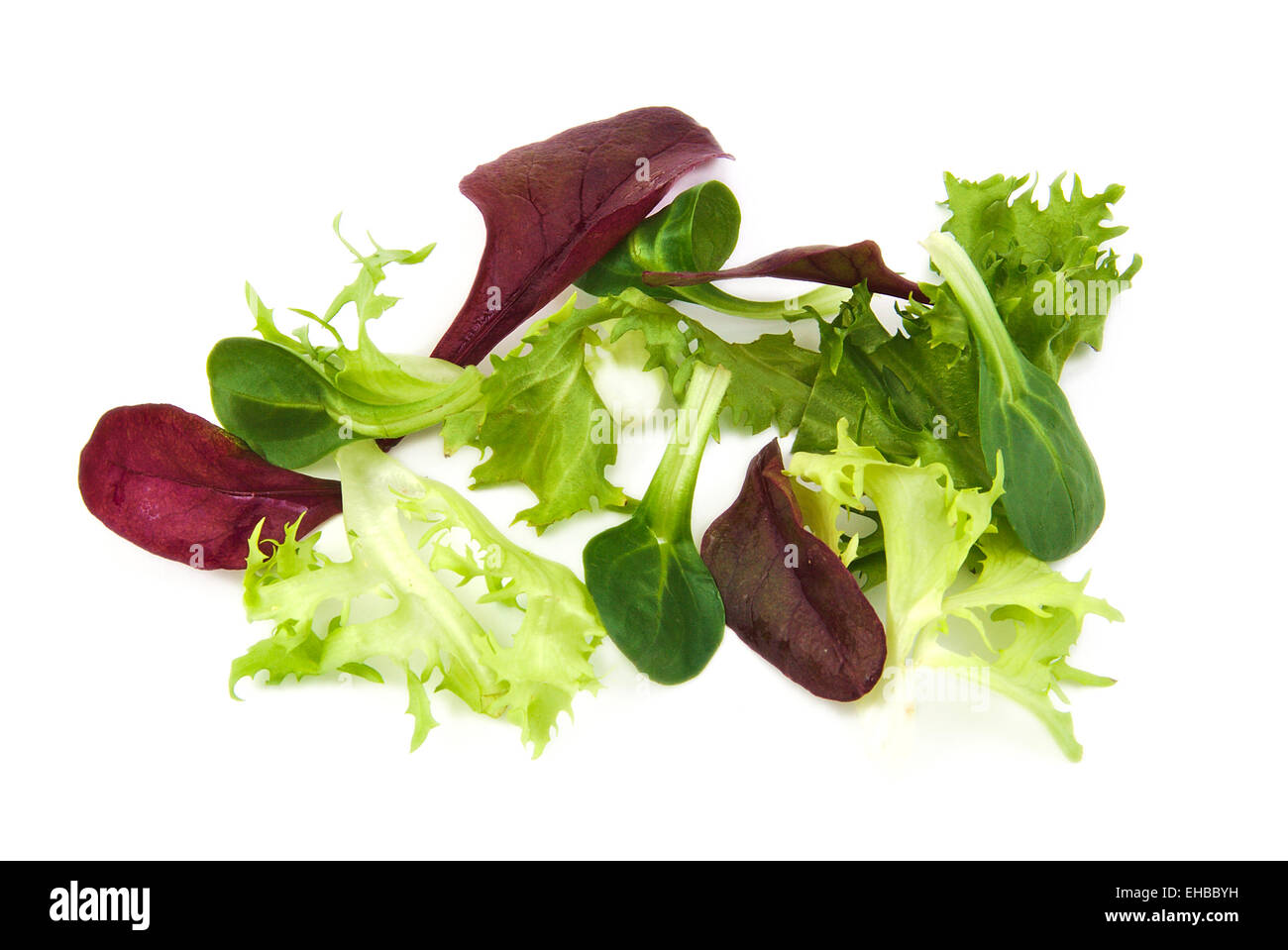 Frisches Grün und lila, Salatblätter Feldsalat auf weißem Hintergrund Stockfoto