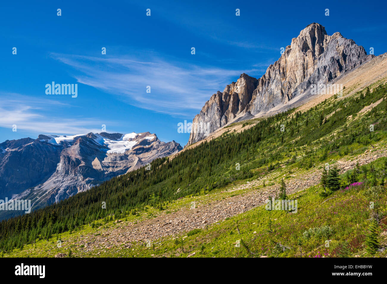 Wapta Berg, Präsident Reichweite, Blick vom Burgess Highline Trail, Canadian Rockies, Yoho Nat Park, Britisch-Kolumbien, Kanada Stockfoto