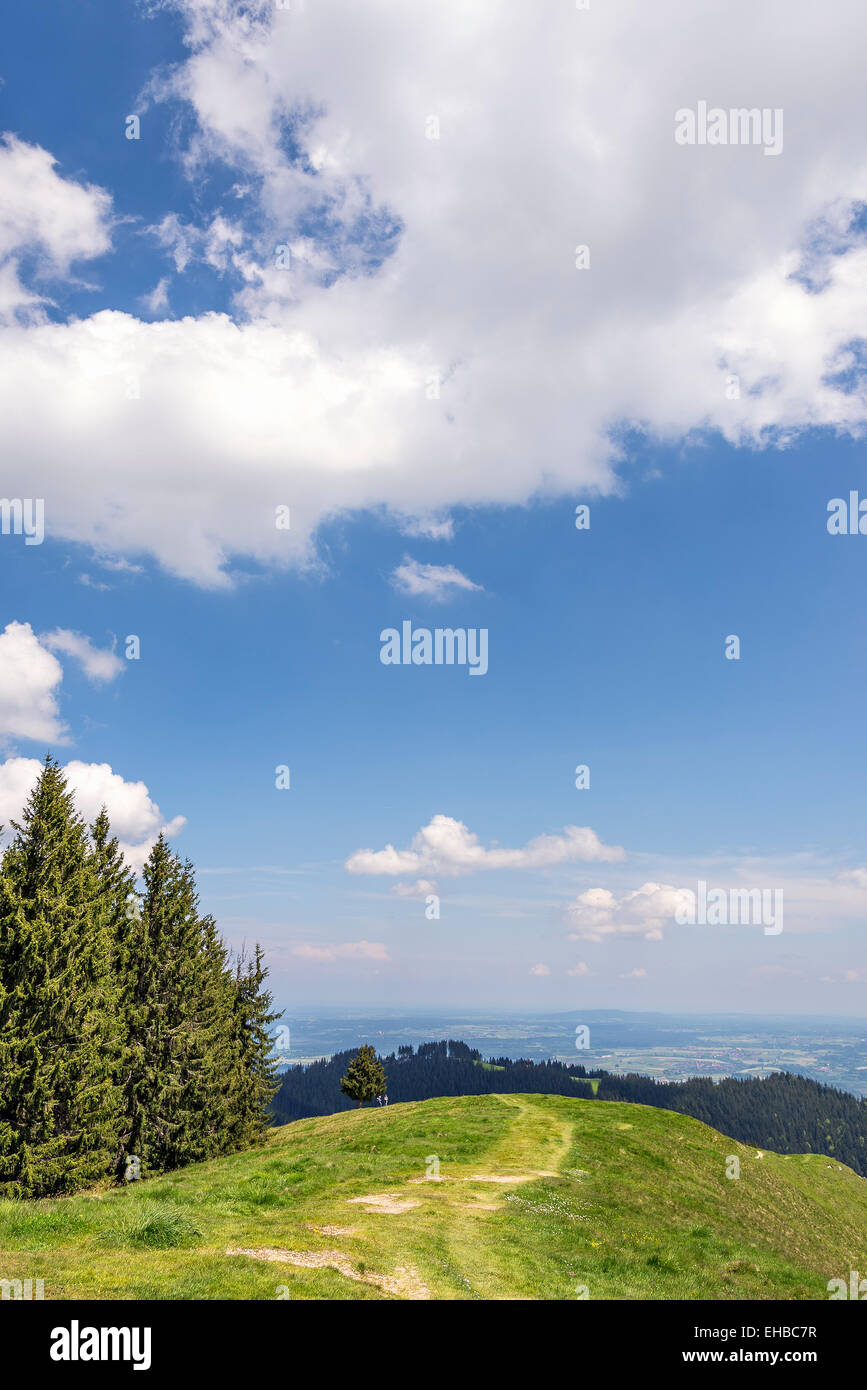 Grean Wiese mit Bäumen und Alpen mit Wolken im Hintergrund mit freiem Speicherplatz Stockfoto