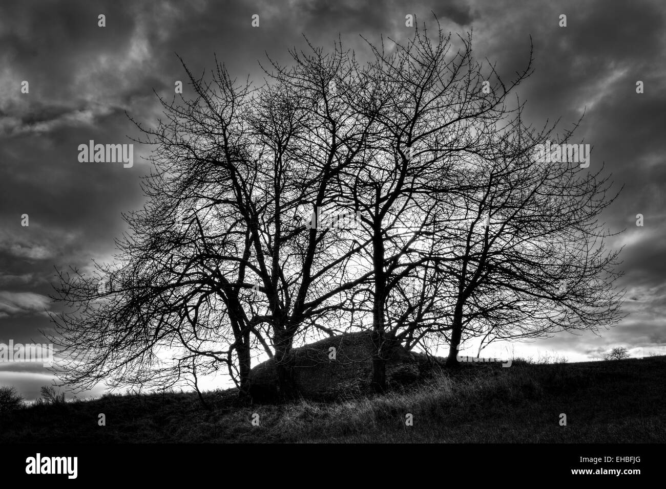 Mystische Monolith versteckt unter Bäumen vor der Sturm B&W Fotografie Stockfoto