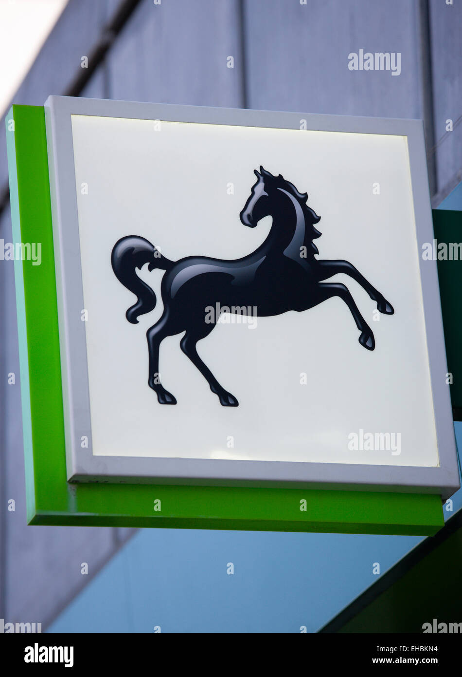 Business, Finance, Banking, Lloyds Bank schwarzes Pferd Zeichen und Logo auf einem High Street bank Gebäude. Stockfoto