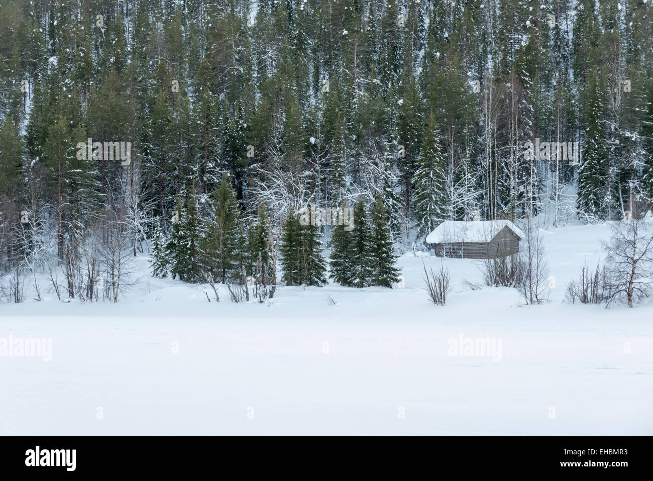 Ein Blockhaus oder Scheune in der Wildnis und Wald in Levi Lapland Finnland im Schnee im winter Stockfoto